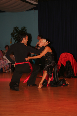 DSCF8081
