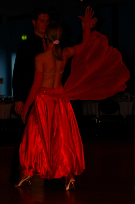 DSCF2804_Crop